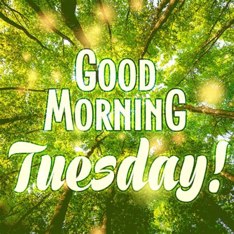 happy tuesday morning|good morning tuesday moving images.